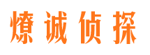 马边调查事务所